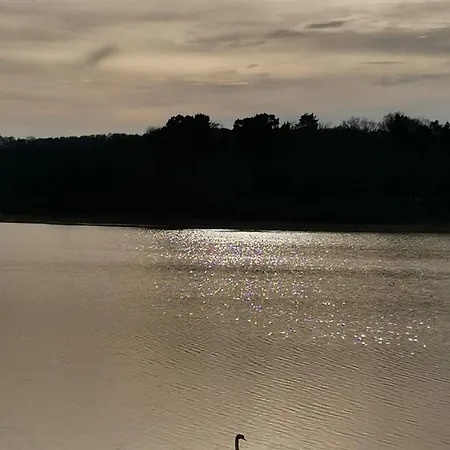 Maison Conviviale Avec Terrasse Privee A - Fr-1-589-800 Prázdninový dům Sanchey